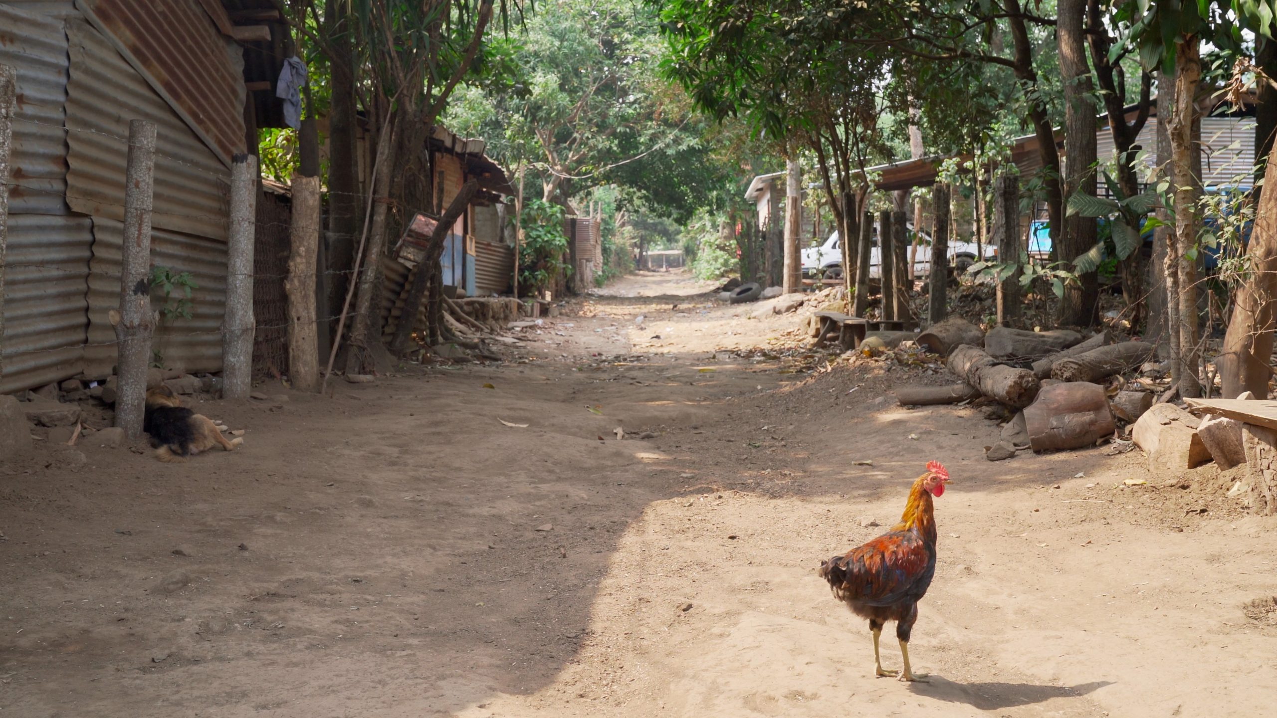 SOSProject_4k_IMG1-3